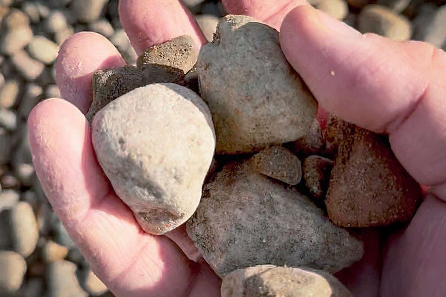 Companies Selling Rocks Fritz Companies | Rock, Sand, Gravel & Recycled Materials